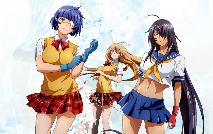 ikki tousen img